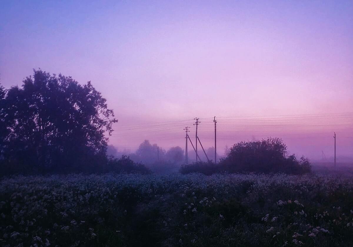 开云官网：信任与体验并行的品牌新页
