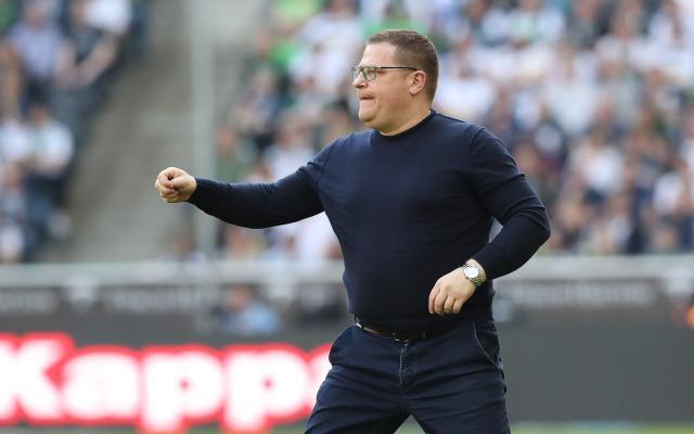 1663602229981033278.jpg 艾贝尔.jpg